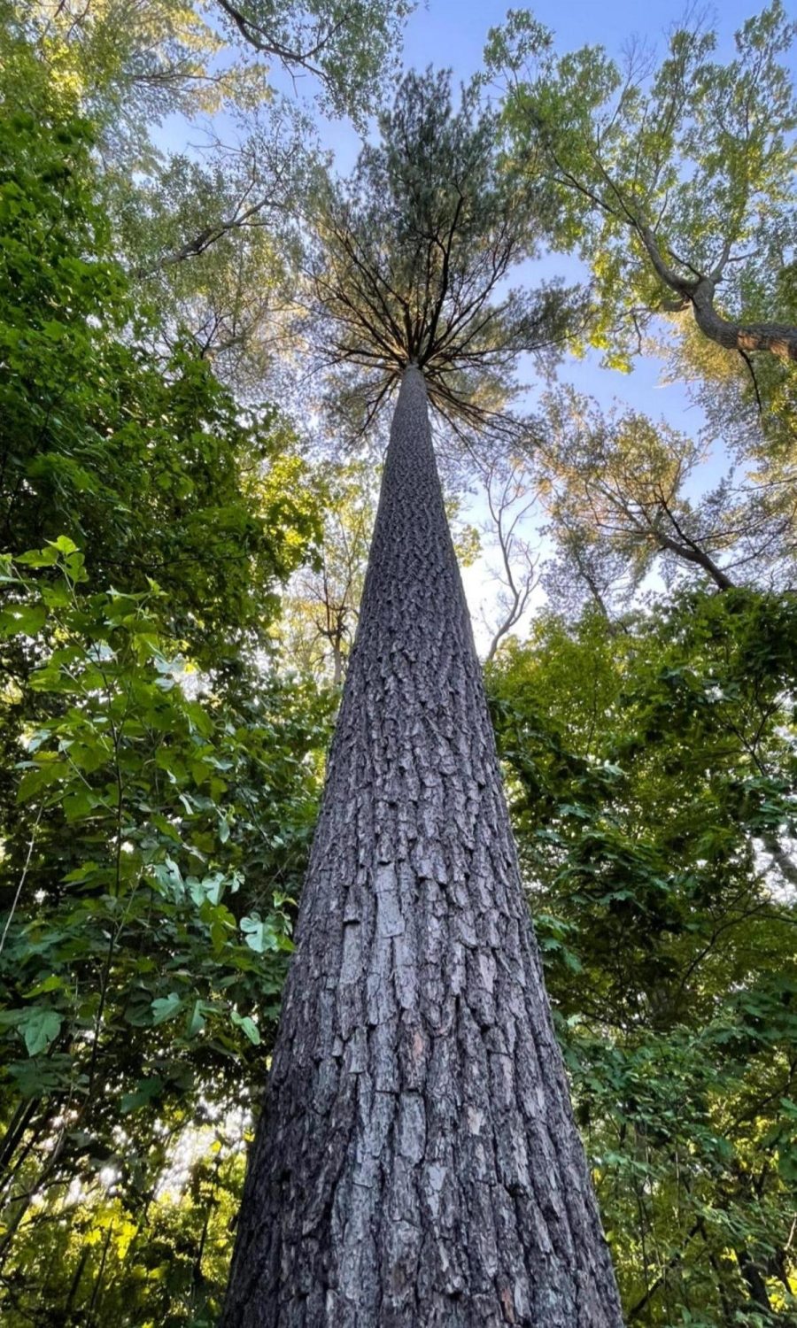 perfectphotos164_020