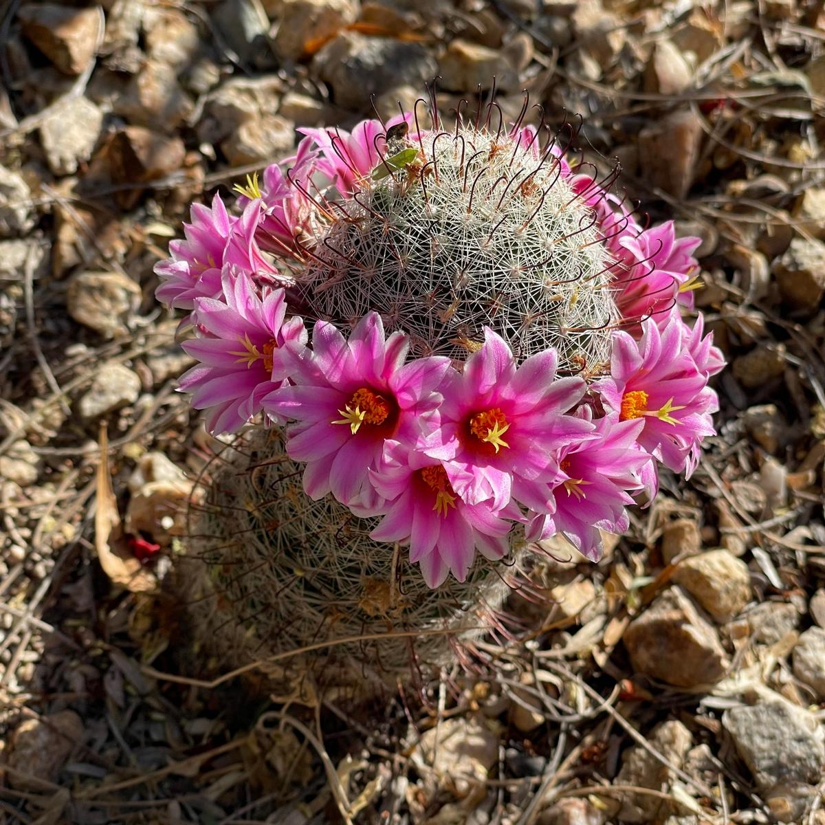 perfectphotos164_027