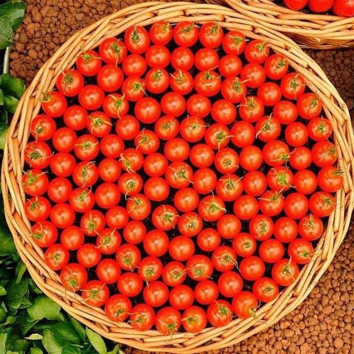 perfectphotos167_001