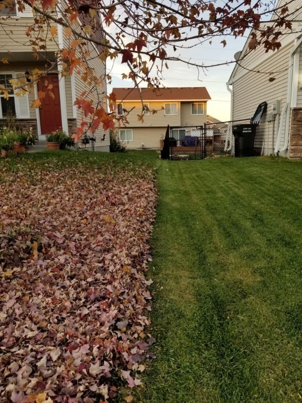 perfectphotos169_002