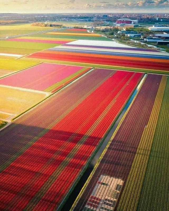 perfectphotos172_002