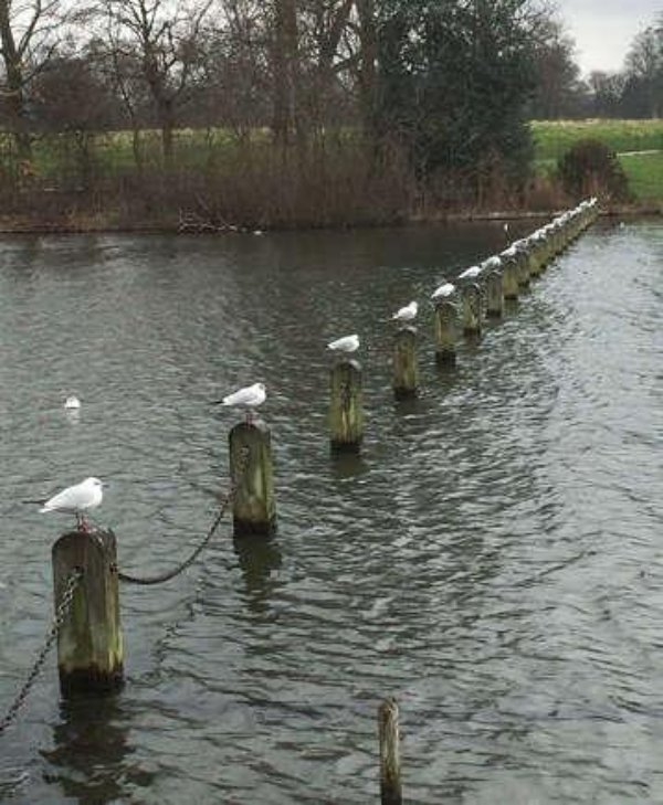 perfectphotos174_014