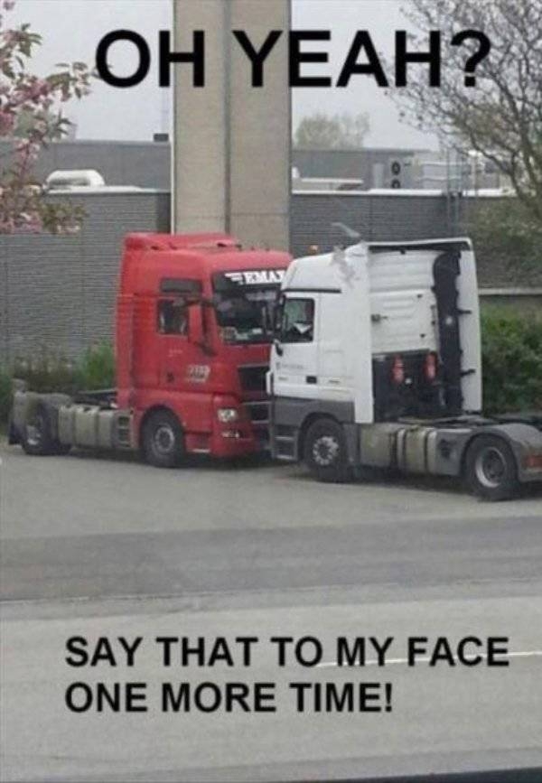 randompics1865_052