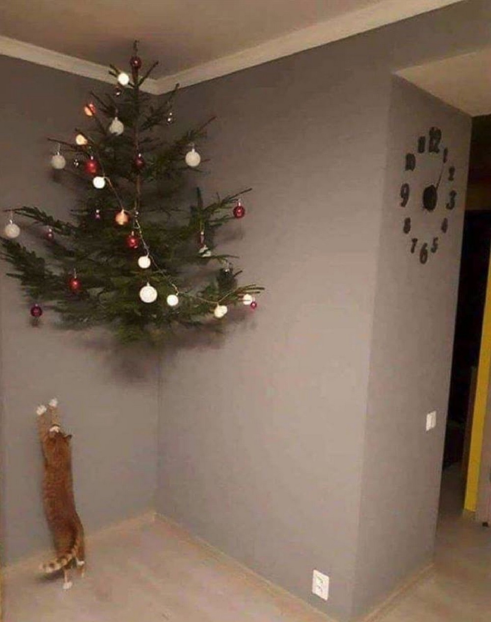 redneckengineering47_003