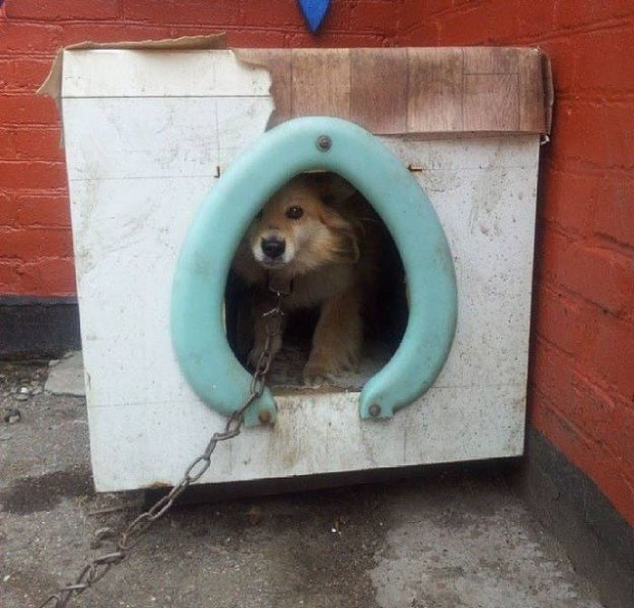 redneckengineering49_017