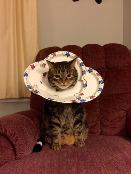 redneckengineering50_028