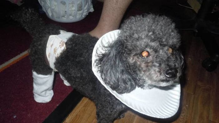 redneckengineering50_030