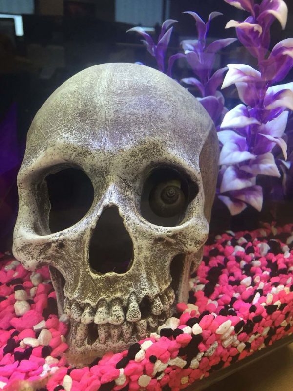 creepytoys3_021