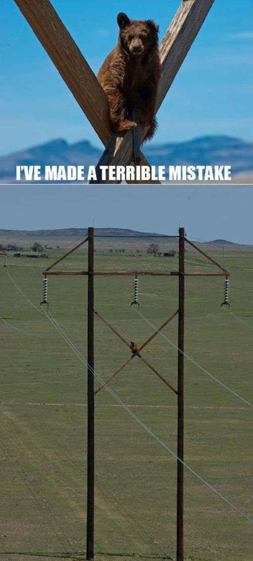 failz301_058
