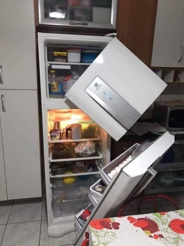 failz311_056