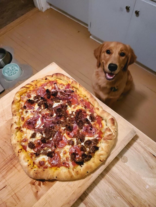funnyanimals176_024