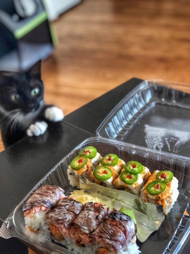 funnyanimals176_028