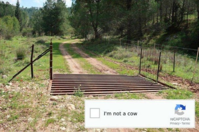 funnyjokes2_020