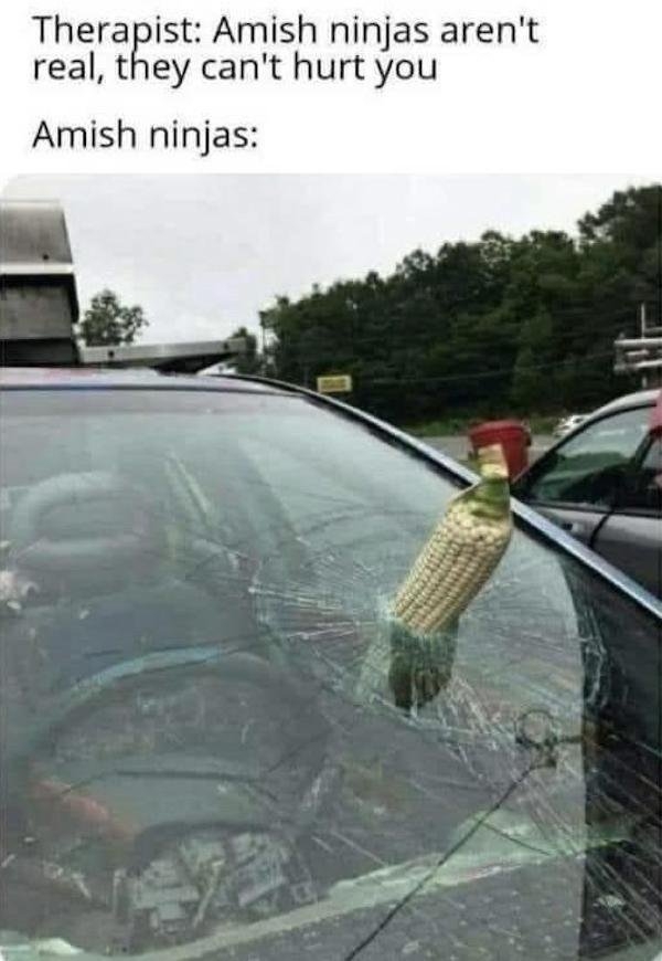 funnymemes424_027