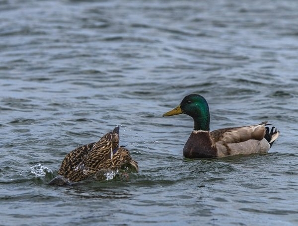 interestingfacts320_006