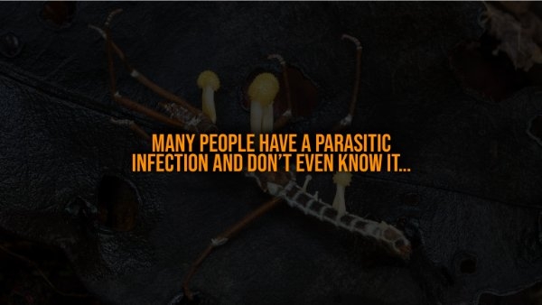 interestingfacts321_001