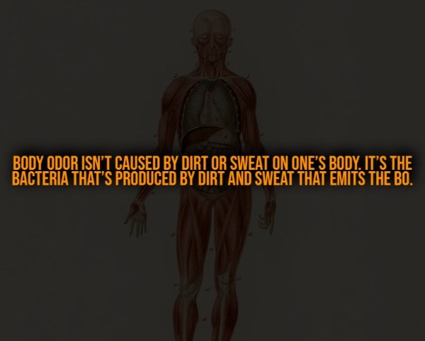 interestingfacts321_007