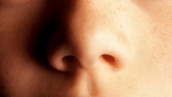 interestingfacts322_009