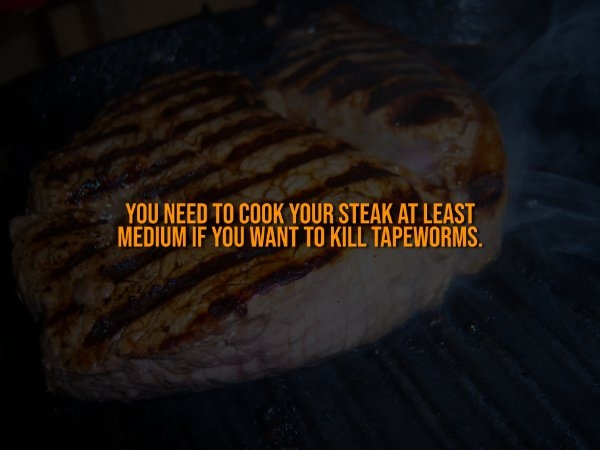 interestingfacts323_005