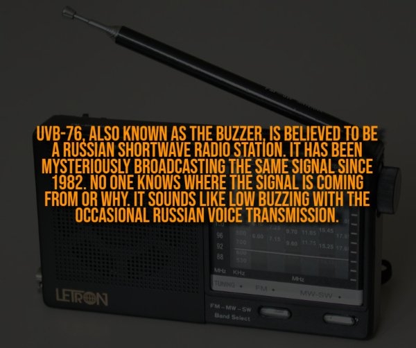 interestingfacts323_010