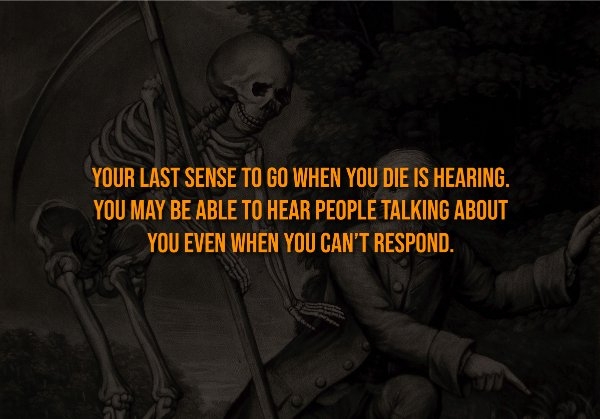 interestingfacts326_002