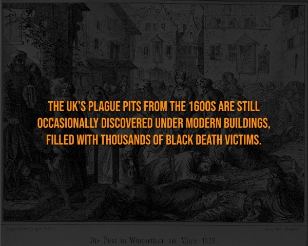 interestingfacts326_004