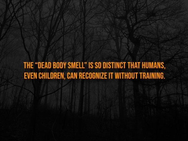 interestingfacts326_005