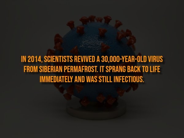 interestingfacts326_006