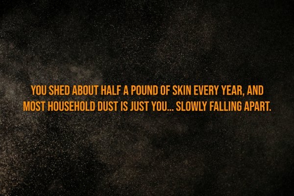 interestingfacts326_007