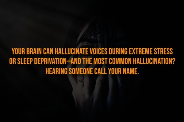 interestingfacts326_008