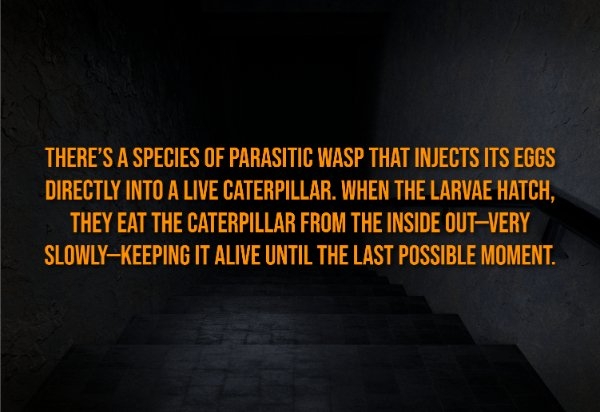 interestingfacts326_015