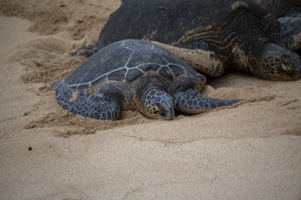 interestingfacts327_001