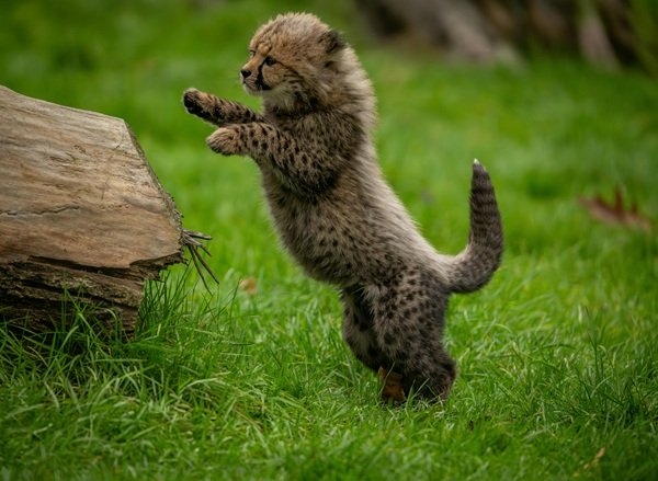 interestingfacts327_007