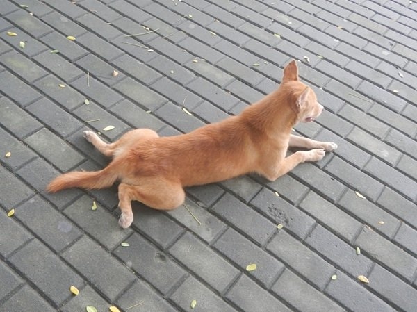 interestingfacts327_012