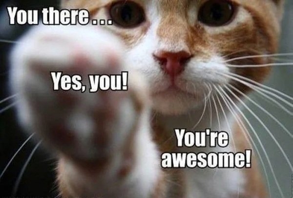 interestingfacts327_016