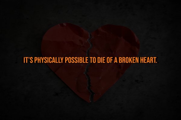 interestingfacts328_006