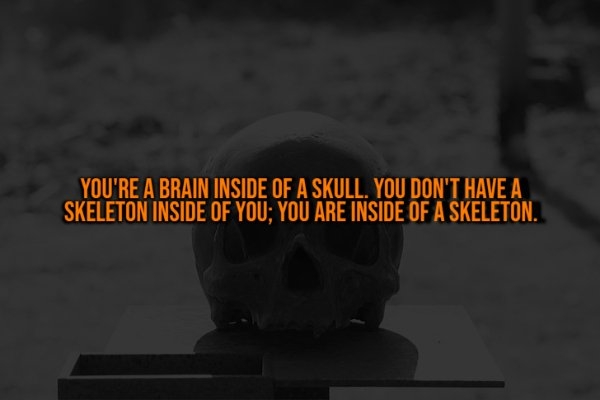 interestingfacts328_007