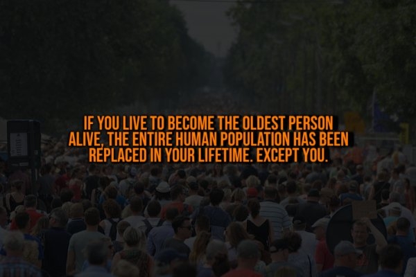 interestingfacts328_013