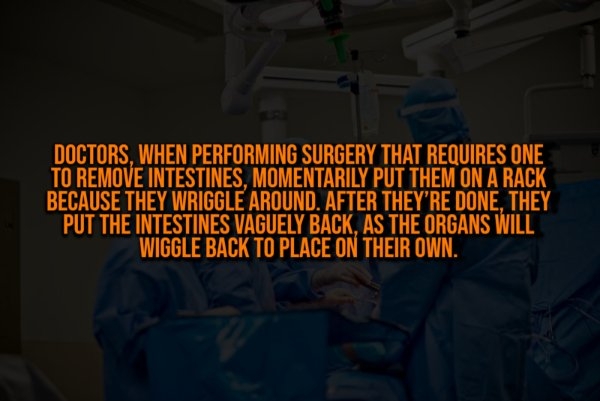 interestingfacts328_014