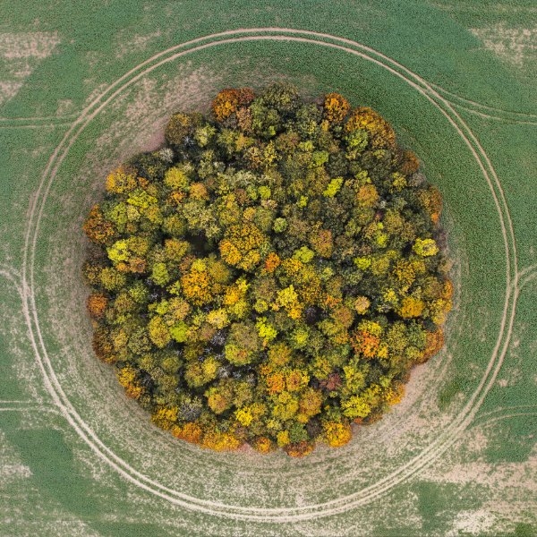 opticalillusions14_013