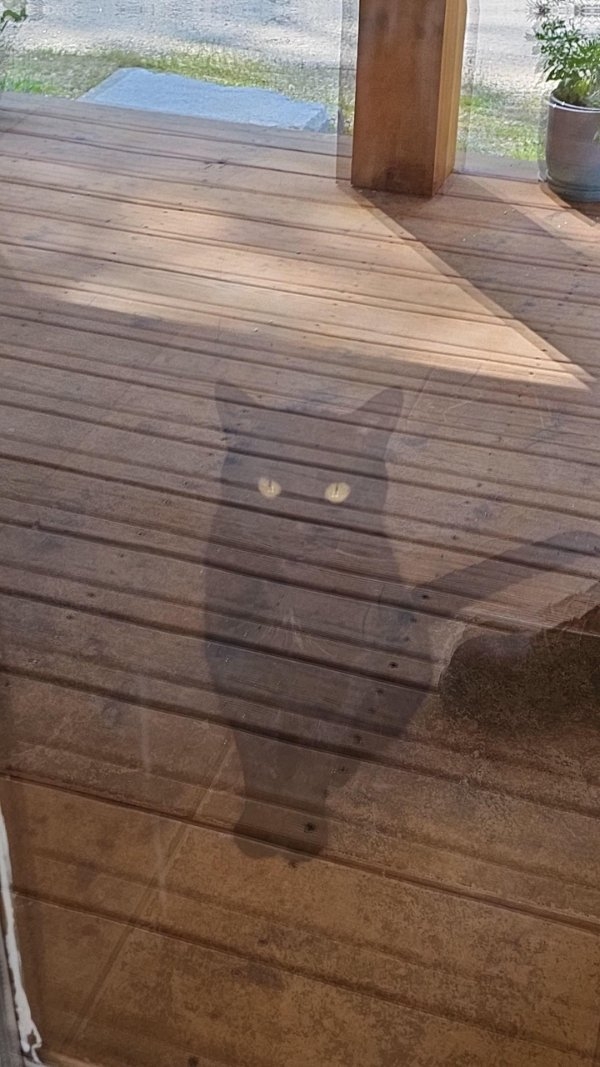 opticalillusions14_016