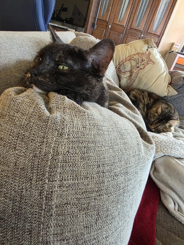 opticalillusions14_017