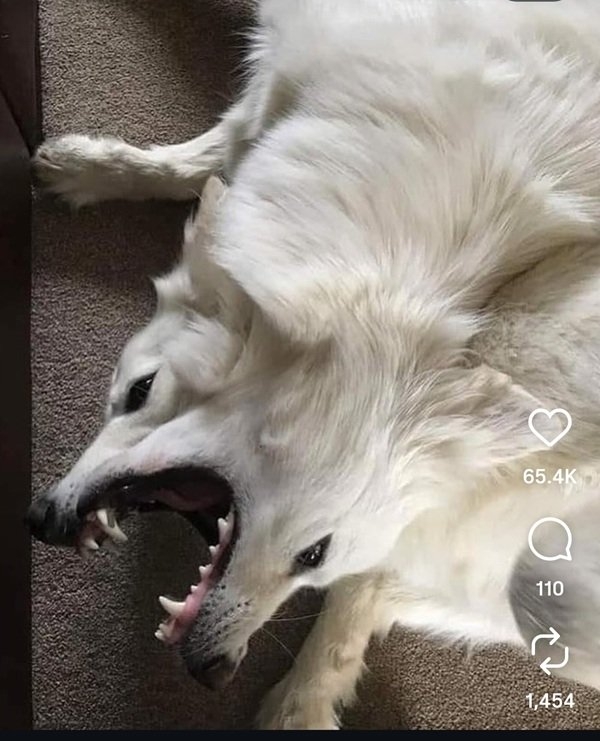 opticalillusions14_031