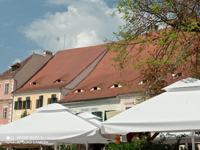 opticalillusions15_017