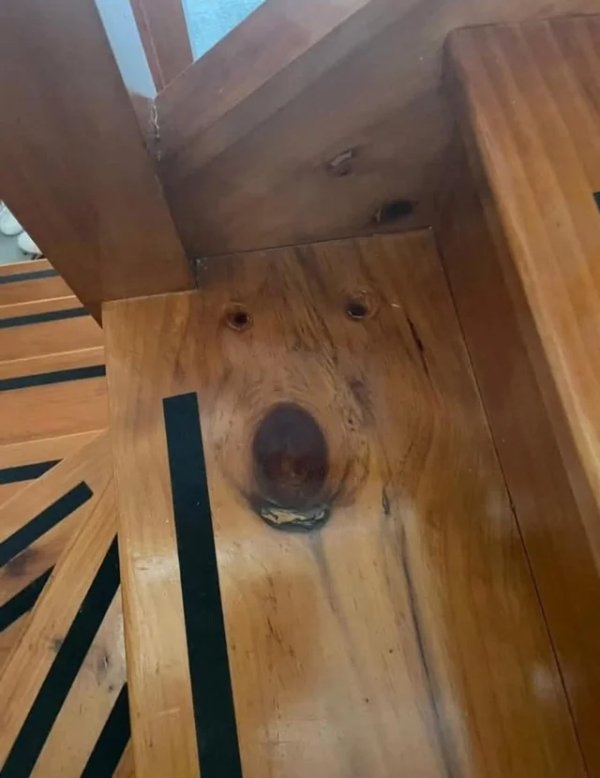 opticalillusions15_034