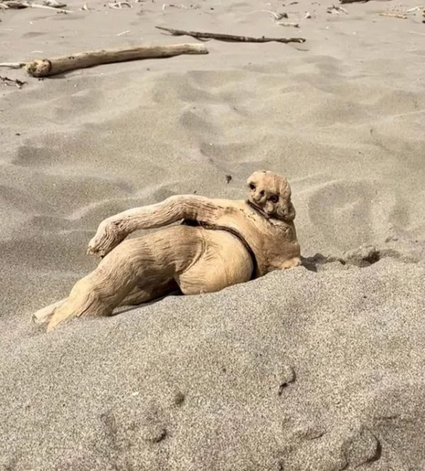 opticalillusions16_001