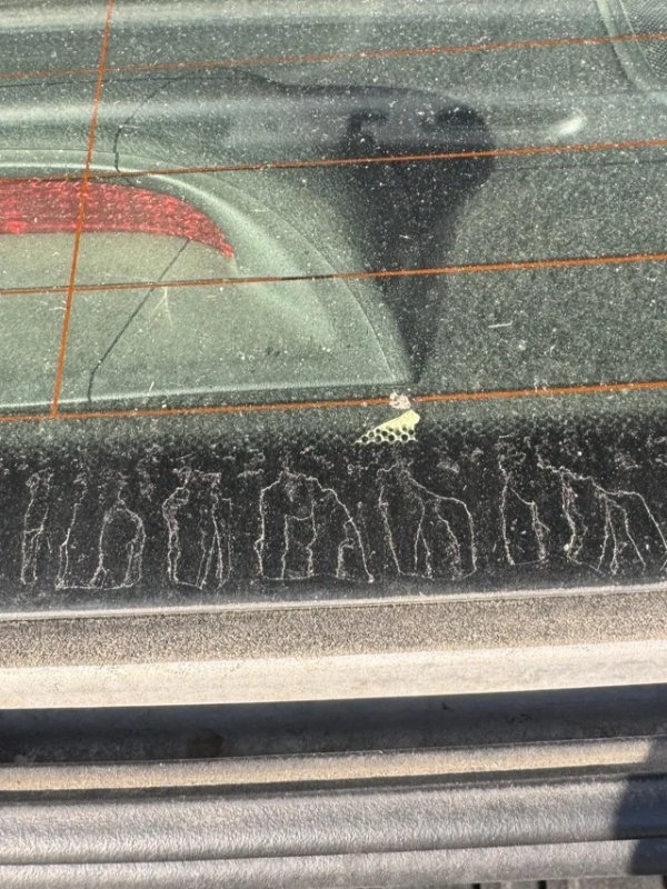 opticalillusions16_004