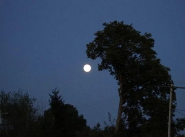 opticalillusions16_007