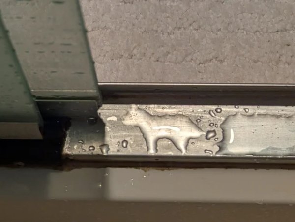 opticalillusions16_012