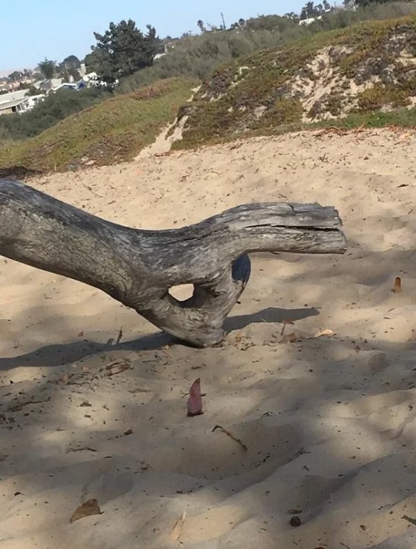 opticalillusions16_017